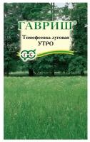 Гавриш Тимофеевка Утро (сидерат), семена газонных трав, большой пакет, 20 грамм