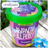 Набор для выращивания Вырасти Дерево "Незабудка"