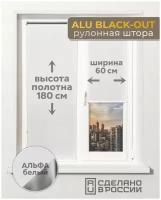 Рулонные шторы блэкаут на окна, альфа ALU BLACK-OUT белый, 600мм x 1800мм