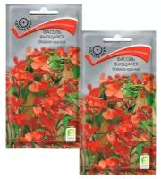 Цветы Фасоль вьющаяся Огненно-красная 2 пакета по 5шт семян