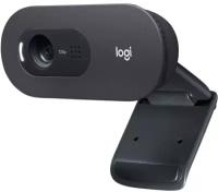 Веб-камера Logitech C505e HD Webcam (960-001373)