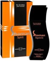 Туалетная вода Parfums Corania Туалетная вода мужская Shaman Spirit (Объем 100 мл)