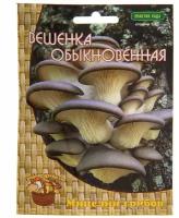 Агрохолдинг Поиск Мицелий грибов Вешенка обыкновенная на деревянных палочках 12 шт