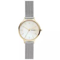 Наручные часы SKAGEN SKW2702