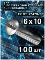 Винт 6х10, с полукруглой головкой, 100 шт, ГОСТ 17473-80