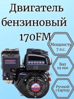 Двигатель бензиновый Lifan 170F ручной стартер ECONOMIC (7,0 л.с., горизонтальный вал 19 мм)