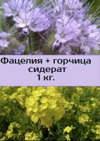 Смесь сидератов " с Алтайских полей ", набор, медоносы, фацелия, горчица однолетняя, 1000 гр, удобрение, сидераты