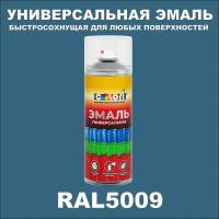 Универсальная аэрозольная эмаль, глянцевая, RAL 5009