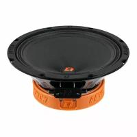 Акустика DL Audio Raven 200 V2