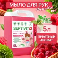 SEPTIVIT Premium Жидкое мыло для рук "Малиновый пай " 5л