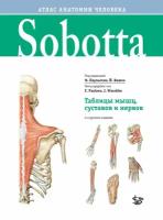 Ф. Паульсен, Й. Вашк "Sobotta. Таблицы мышц, суставов и нервов. Приложение к Sobotta. Атлас анатомии человека / под ред. Ф. Паульсен, Й. Вашке.- 2 изд.- М.: Логосфера, 2022"