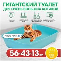 Лоток для кошек глубокий, большой "PetTails" (под наполнитель) 56*43*13см, бирюзовый
