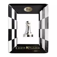 Головоломка Cast Puzzle Chess Pawn (473681)