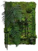 Панно "Jungle" Дом Мха - MossArt из стабилизированного мха и растений в подарочной упаковке, 50*70 см