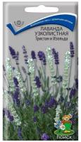 Лаванда "Поиск" Тристан и Изольда узколистная 10шт