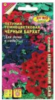 Семена цветов Петуния 'Черный бархат', смесь окрасок, О, 0,04 г