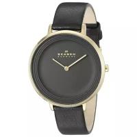 Наручные часы SKAGEN SKW2286