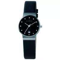 Наручные часы SKAGEN 355SSLB