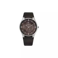 Наручные часы SKAGEN 989XLSLD