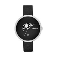 Наручные часы SKAGEN SKW2372