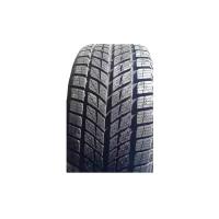 Auplus Tire WINTERSPORT зимняя