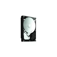 Жесткий диск Seagate Barracuda 2 ТБ ST32000542AS