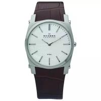 Наручные часы SKAGEN 859LSLC