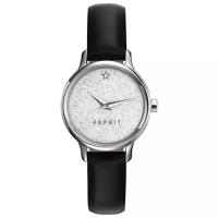 Наручные часы ESPRIT ES109282001