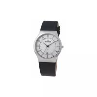 Наручные часы SKAGEN 233XXLSLC