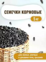 Семечки подсолнечника 5 кг. Сырые, неочищенные. Корм для лесных уличных и домашних птиц, грызунов